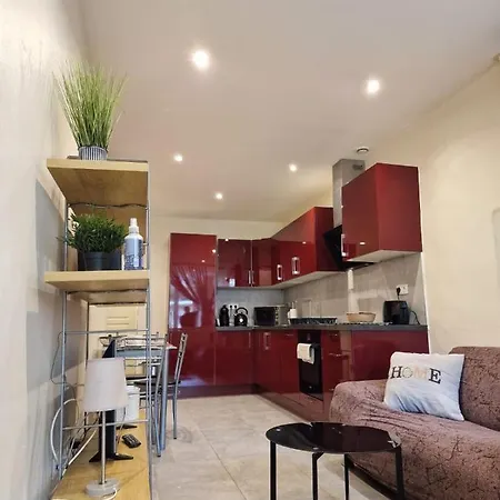 Alexandre Mari Apartment Nice